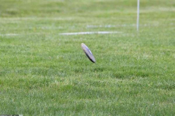 体育项目中的棋类项目有哪些(图1)